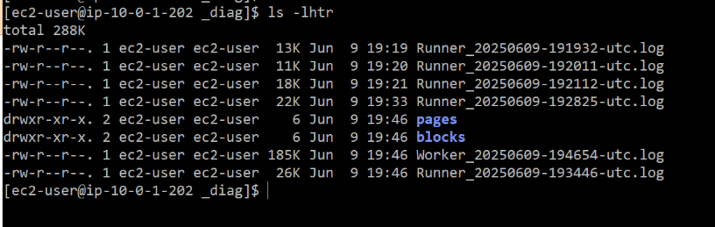 Runner Log